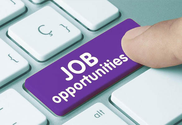 Create Job Opportunities